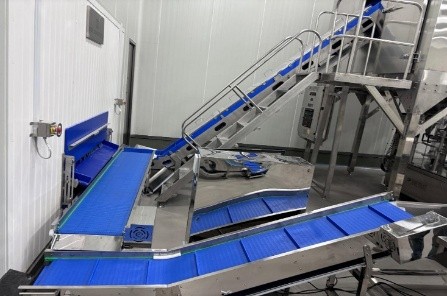 Belt Conveyor