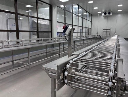 Chain Conveyor